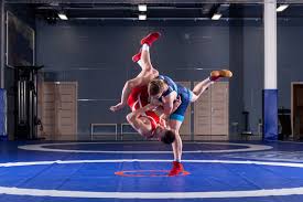 Wrestlers